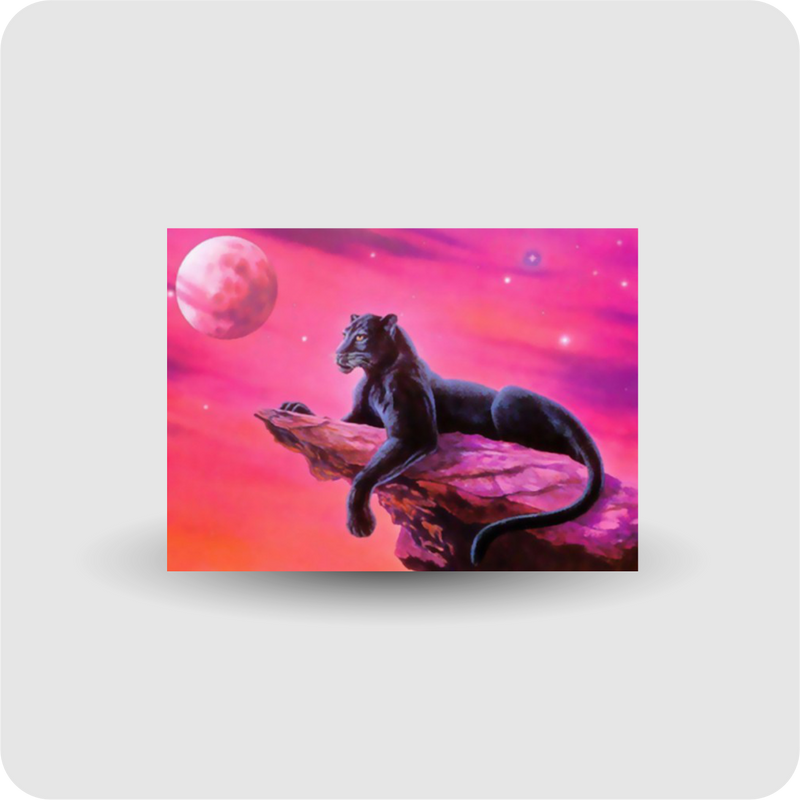 Diamond Painting Panther Malerei Stickpackung