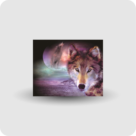 Diamond Painting Wolf Mond Malerei Stickpackung groß