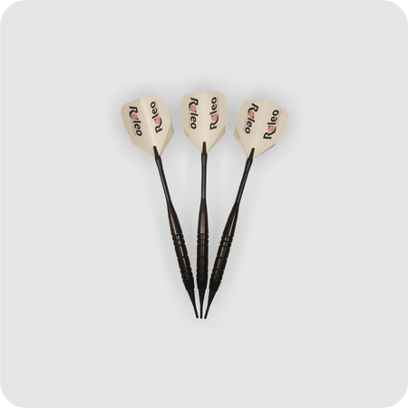 Roleo Steeldartpfeile Professional 22g