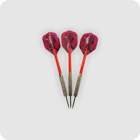 Roleo Steeldartpfeile R-4 17g