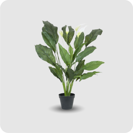 EUROPALMS Spathiphyllum deluxe, 83cm (Kunstpflanze)