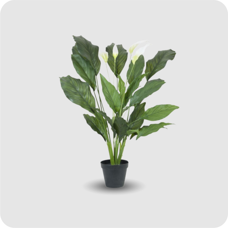 EUROPALMS Spathiphyllum deluxe, 83cm (Kunstpflanze)