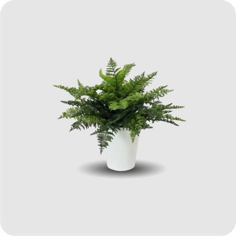 Farnbusch im Dekotopf, 51 Blätter, 48cm, Kunstpflanze
