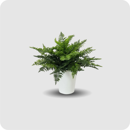 Farnbusch im Dekotopf, 51 Blätter, 48cm, Kunstpflanze
