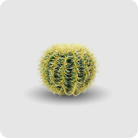 Goldkugelkaktus, 25cm, Kunstpflanze