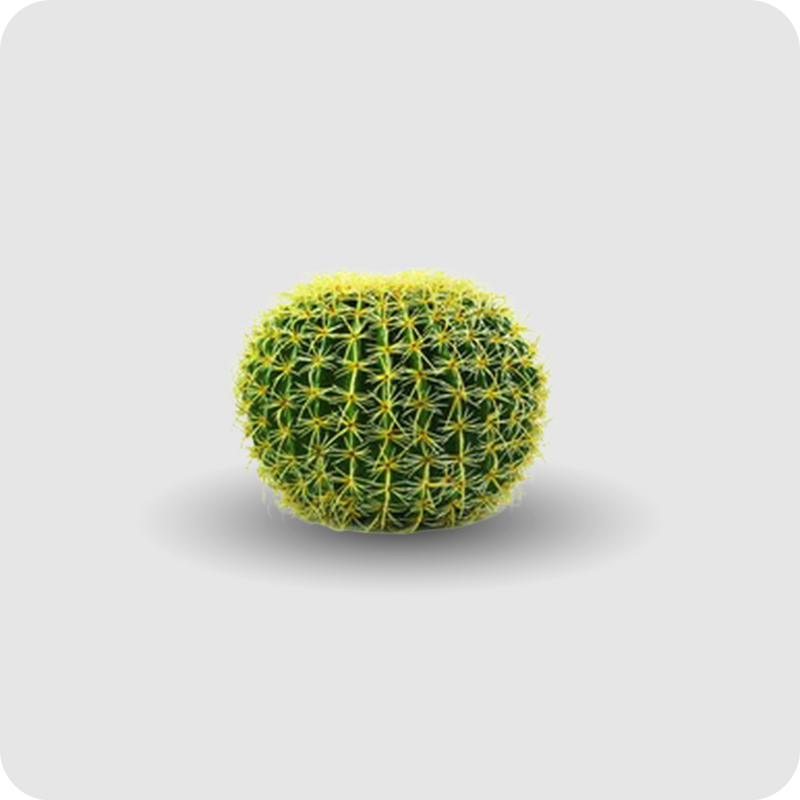 Goldkugelkaktus, 37cm, Kunstpflanze