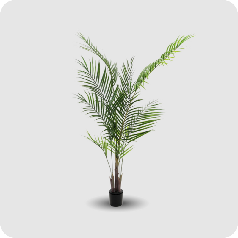 Großblatt-Areca, 165cm, Kunstpflanze