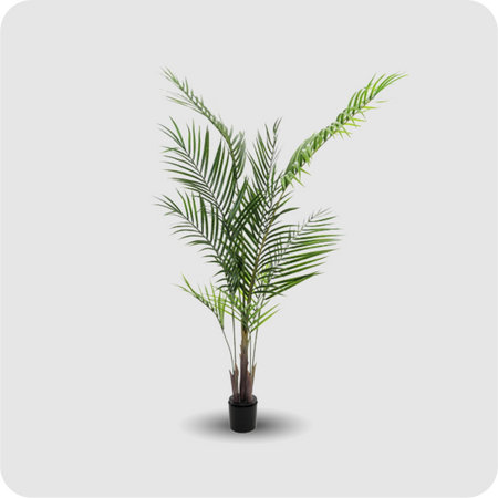 Großblatt-Areca, 165cm, Kunstpflanze