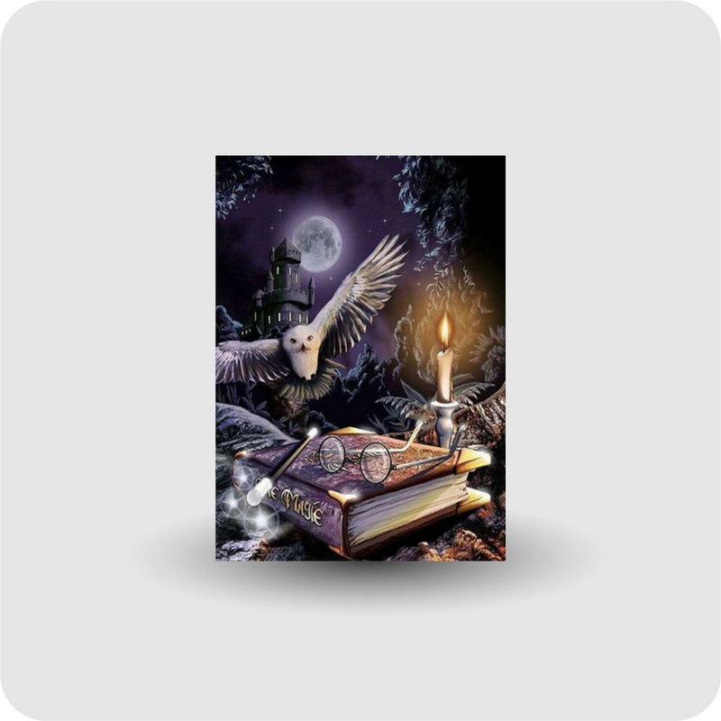 Diamond Painting Eule Diamant Malerei Stickpackung basteln groß